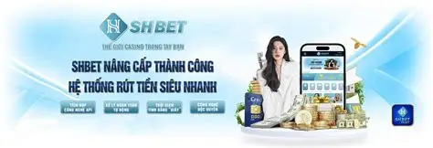 shbet800